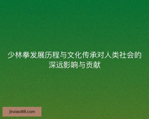 少林拳发展历程与文化传承对人类社会的深远影响与贡献